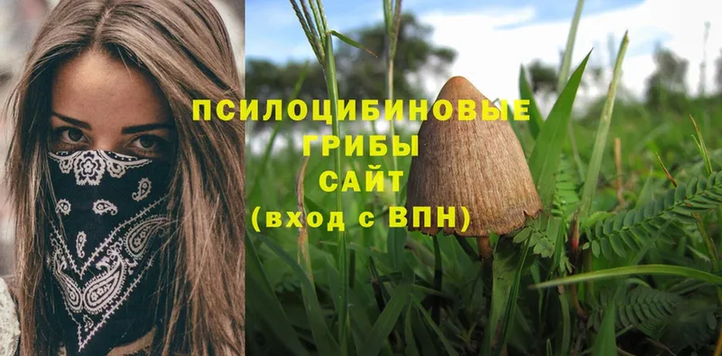 ОМГ ОМГ как войти  Агидель  Псилоцибиновые грибы Psilocybine cubensis  купить наркотики цена 